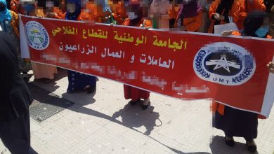 الجامعة الوطنية للقطاع الفلاحيumt