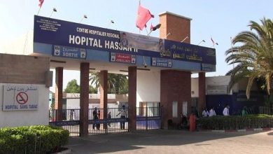 نقل ثلاث حالات إصابة بلذغات الأفاعي للمستشفيات