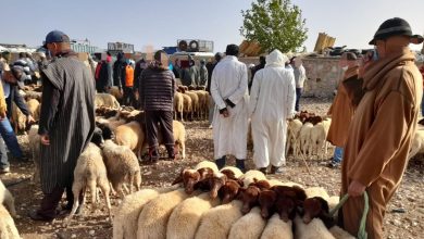 تيمحضيت.. السلطة المحلية تشدد في تنظيم السوق الأسبوعي