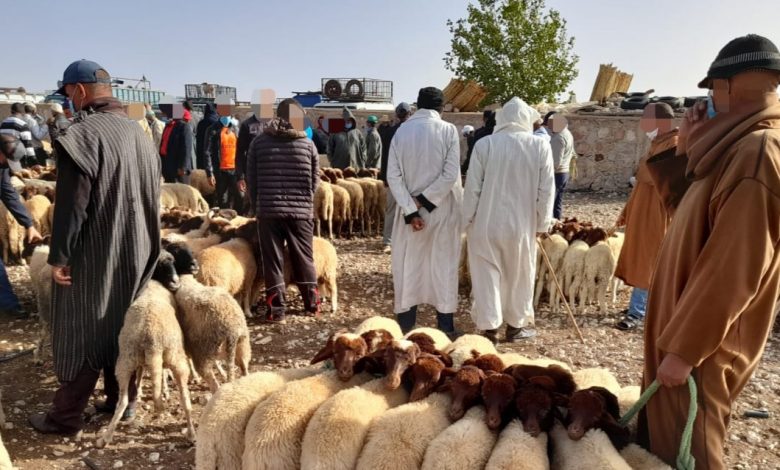 تيمحضيت.. السلطة المحلية تشدد في تنظيم السوق الأسبوعي